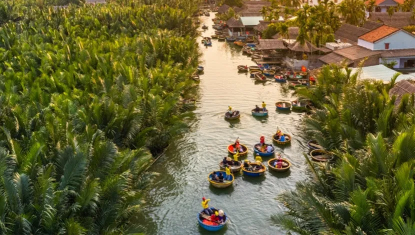 water-coconut-forest